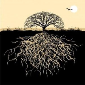 Deep financial roots